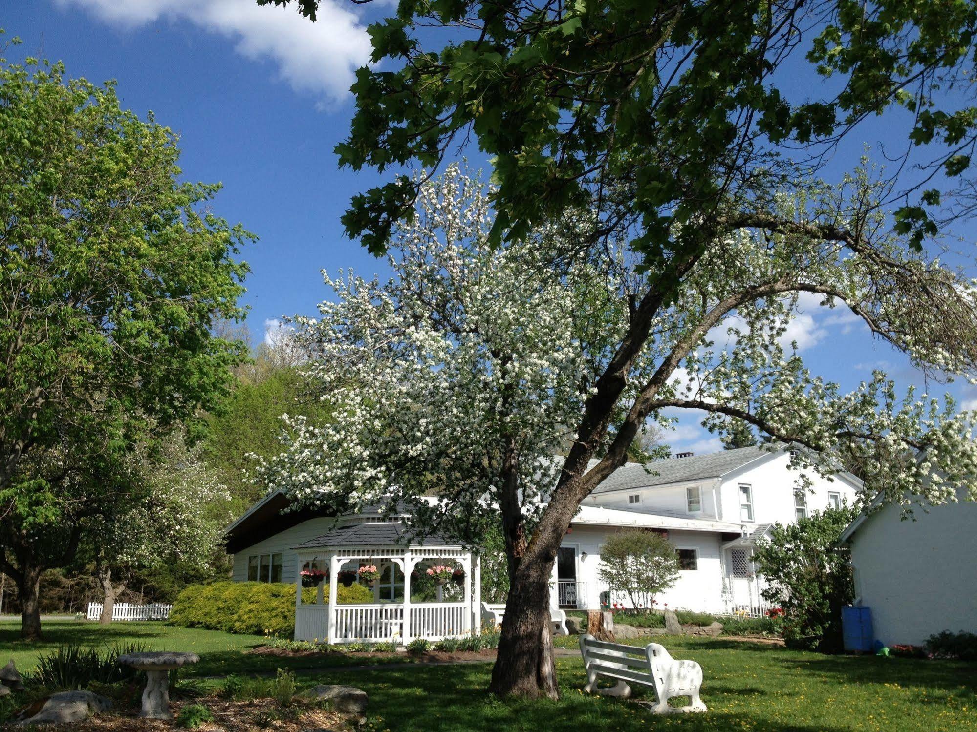 Lukans Farm Resort Hawley Kültér fotó